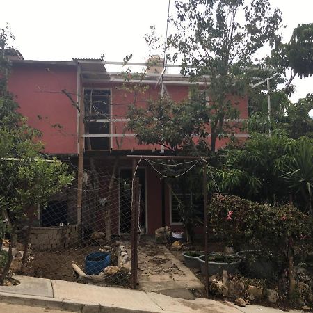 Hotel La Casa Del Nenufar Oaxaca Zewnętrze zdjęcie