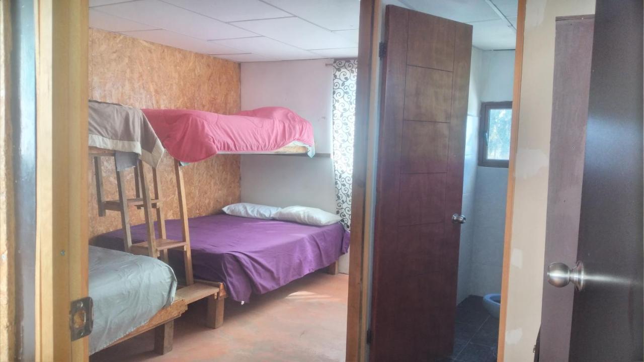 Hotel La Casa Del Nenufar Oaxaca Zewnętrze zdjęcie