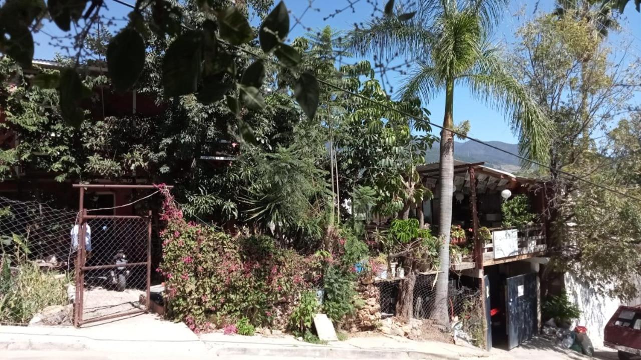 Hotel La Casa Del Nenufar Oaxaca Zewnętrze zdjęcie