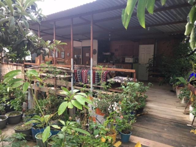 Hotel La Casa Del Nenufar Oaxaca Zewnętrze zdjęcie